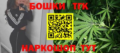 крисы Кунгур