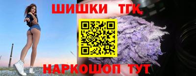 крисы Кунгур