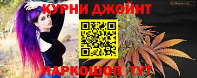 крисы Кунгур