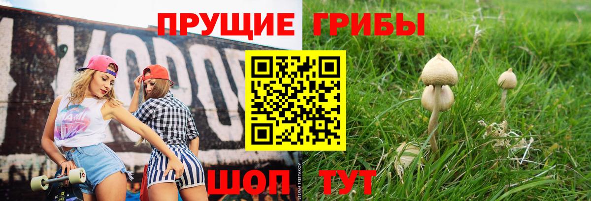 Сердобск  Галлюциногенные грибы Cubensis  Вход с VPN 